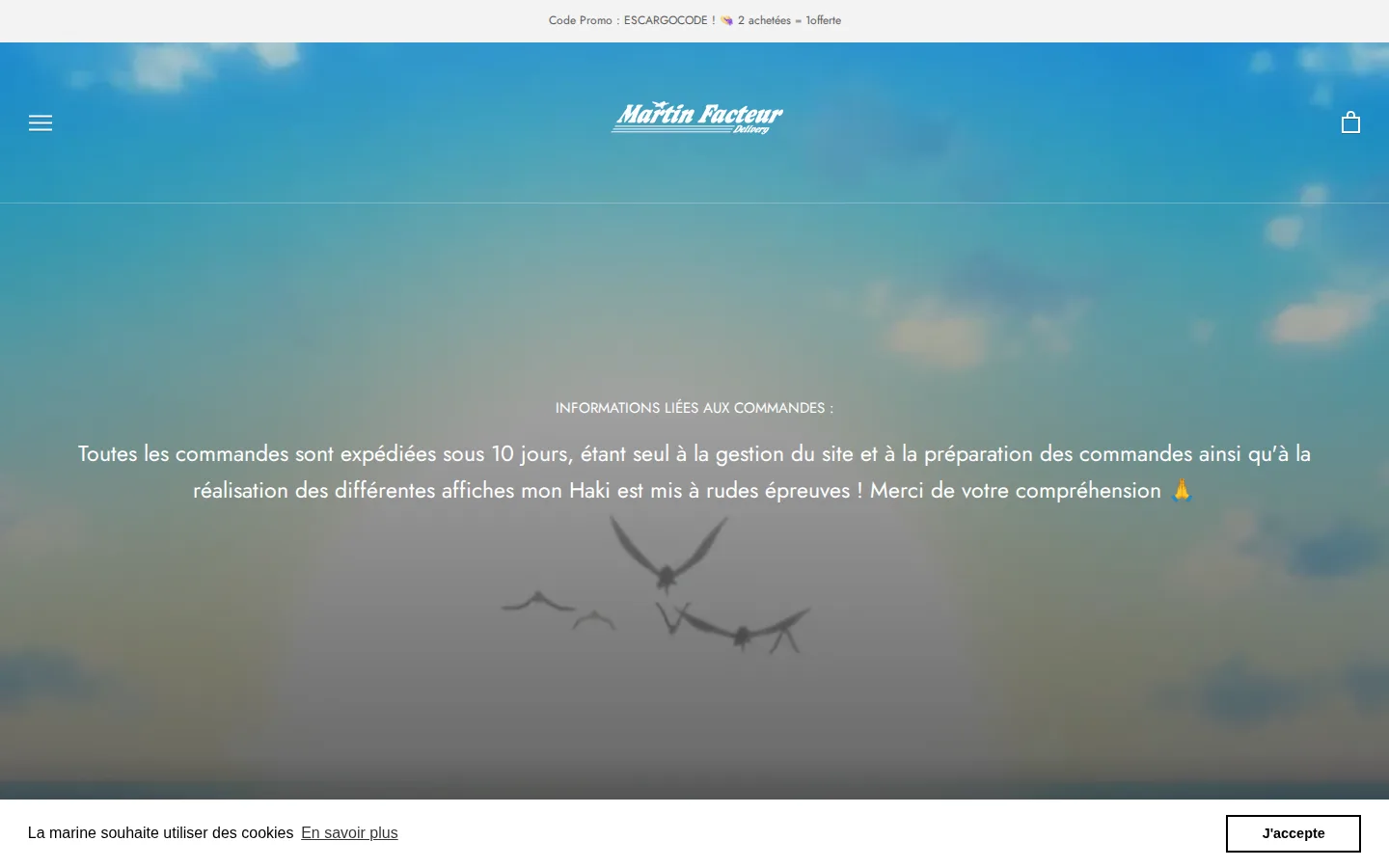 Page d'accueil de martinfacteur.fr sur grand écran, boutique de posters